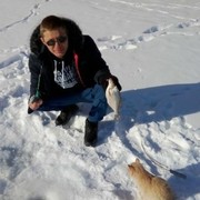 ���������� ���������, ���� ������� ������, 32 ����, ������������ ��� ����� � ���������, c�������� ���������