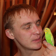 ���������� ������������, ���� ������� ������, 41 ���, ������������ ��� ������, ����� � ���������, c�������� ���������