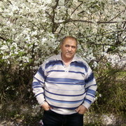  -,   , 75 ,   