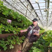 ���������� ���������, ���� ������� Dmitry, 44 ����, ������������ ��� ������, ����� � ���������, c�������� ���������