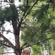  ,  , 61