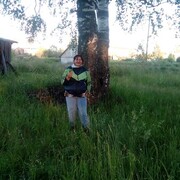  Azor,   , 50 ,   ,   
