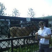 ���������� �����-���������, ���� ������� Idris, 37 ���, ������������ ��� ������, ����� � ���������, c�������� ���������