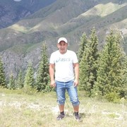  ,   , 41 ,   