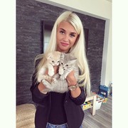 ���������� ������, ���� ������� �������, 36 ���, ������������ ��� ������, ����� � ���������, c�������� ���������