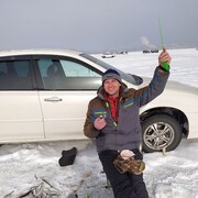 ���������� ����-���������, ���� ������� ���������, 43 ����, ������������ ��� ������