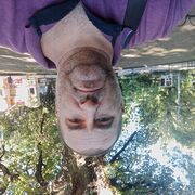  ,   , 52 ,   ,   