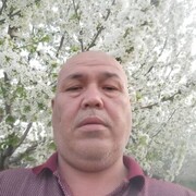  ,   , 55 ,   ,   