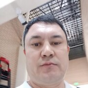 ���������� �������, ���� ������� Murkomil, 38 ���, ������������ ��� ������, ����� � ���������