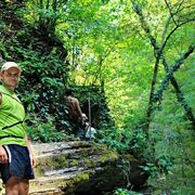 ���������� ������, ���� ������� �����, 34 ����, ������������ ��� ������, ����� � ���������, c�������� ���������, ���������