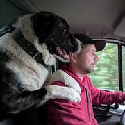 ���������� �����-���������, ���� ������� ����, 27 ���, ������������ ��� ������, ����� � ���������