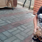 ���������� �������, ���� ������� ������, 41 ���, ������������ ��� ������, ����� � ���������, c�������� ���������