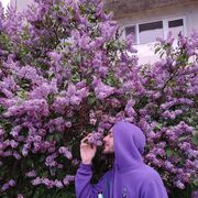 ���������� ������, ���� ����� ������, 25 ���, ������������ ��� ������, ����� � ���������