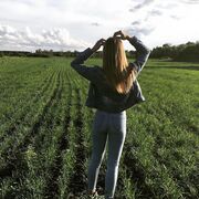 ���������� �������, ���� ������� ���������, 24 ����, ������������ ��� c�������� ���������