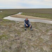 ���������� �����, ���� ������� �����, 50 ���, ������������ ��� ������, ����� � ���������