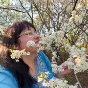  ,   , 54 ,   