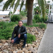 ������� 2016