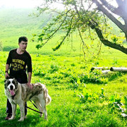  ,   , 30 ,   ,   , c 