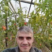  ,   , 50 ,   