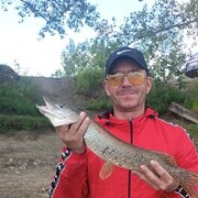 ���������� ������-��-����, ���� ������� ���������, 37 ���, ������������ ��� ������, ����� � ���������