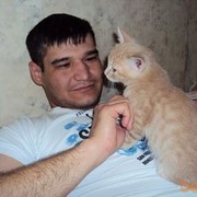  ,   , 43 ,   