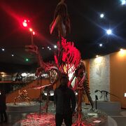 ���������� �����, ���� ������� ����� ����, 26 ���, ������������ ��� ������, ����� � ���������