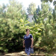   ,   , 55 ,     , 