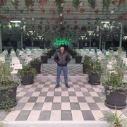 ,   , 36 ,   ,   