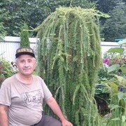 ���������� �����������, ���� ������� �����, 53 ����, ������������ ��� ������, ����� � ���������