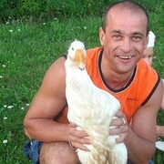 ���������� �����, ���� ������� �����, 42 ����, ������������ ��� ����� � ���������, c�������� ���������