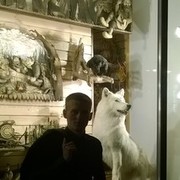  -,   , 42 ,  