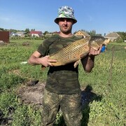 ���������� �������, ���� ������� ����, 29 ���, ������������ ��� ������, ����� � ���������, ���������