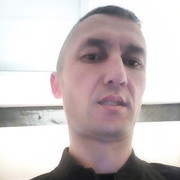 ���������� �������������, ���� ������� Sher, 40 ���, ������������ ��� ����� � ���������, c�������� ���������