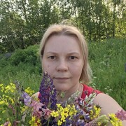 ���������� ��������, ���� ������� ���������, 43 ����, ������������ 