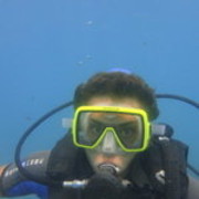 ���������� ������ ��������, ���� ������� ����, 36 ���, ������������ ��� ������, ����� � ���������, c�������� ���������