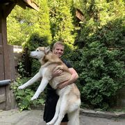 ���������� ����, ���� ������� ������, 34 ����, ������������ ��� ������, ����� � ���������