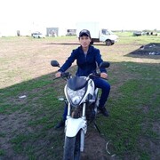  ,   Mitiq, 28 ,   ,   