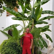 ,  Andrei, 39