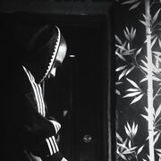 ���������� �����, ���� ����� Miguel, 23 ����, ������������ ��� ������, ����� � ���������, c�������� ���������, ���������