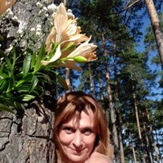 ���������� ���������, ���� ������� �������, 51 ���, ������������ ��� ������, ����� � ���������, c�������� ���������