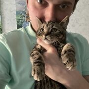  ,   , 32 ,  