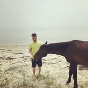 ���������� ������, ���� ������� ���, 31 ���, ������������ ��� ������, ����� � ���������, ���������