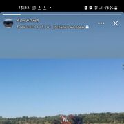 ���������� ������-��-����, ���� ����� �����, 21 ���, ������������ ��� ������, ����� � ���������, c�������� ���������