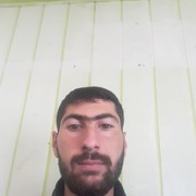  ,   Gurami, 33 ,   ,   , c 