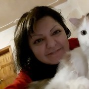  ,   , 43 ,  