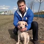 ���������� ���������, ���� ������� ������, 37 ���, ������������ ��� ����� � ���������, c�������� ���������