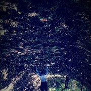 ���������� ���������, ���� ������� �����, 30 ���, ������������ ��� ������, ����� � ���������, c�������� ���������