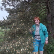 ���������� ����������, ���� ������� ����, 62 ����, ������������ ��� ������, ����� � ���������, c�������� ���������