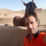  Algiers,   Mallemkamel, 53 ,   ,   , c 
