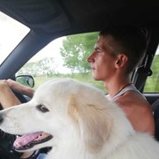 ���������� ���������, ���� ������� ����, 29 ���, ������������ 